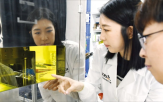치료,나노물질,개발,물질,나노디스크,부위,암세포,기능