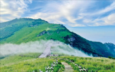 특구,울산,영남알프스,대왕암공원,울산시,울주군,지정,동구,지역