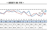 제조업,부정적,전망,부진,업종,한경협