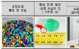 워터비즈,어린이,발생,사용
