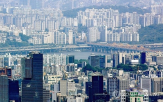 대출,주담대,주택,구입,수도권,규제,규제지역,조치