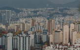 정부,규제,대출,부동산,서울,집값,주택,투기지역,안정,강남