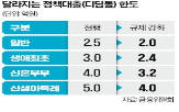 정책대출,한도,디딤돌대출,축소