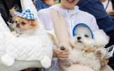 가구,반려동물,양육비,전체