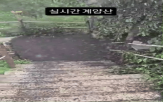 러브버그,영상,사람,익충