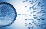 정자,기증,카위트,자녀,네덜란드,연락,아이
