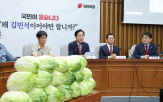 후보자,의혹,배추,청문회