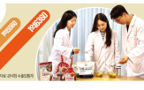 김치,발효,기술,수출,과정,배추,종균