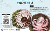 수산물,여행지,이달,흑범고래,붕장어,문어