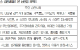 규제,샌드박스,승인,사례,혁신,특례
