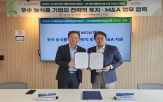 전략적,투자,국내