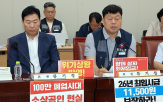인상,수정안