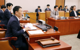 개정안