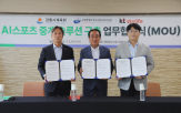 스포츠,중계,강릉