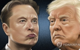 하락,국내,이차전지,반등,테슬라,이차전지주