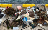 쓰레기,울릉도,해양쓰레기,가장,활동,유입,외국,플라스틱