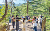 산림치유,참여,산불,치유,코로나19,캠프,심신