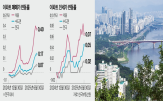 서울,대출,규제,전세,시장,집값,지역,전셋값,정부,다소