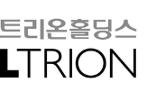 지주사,개편,사업구조