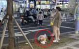 외국인,관광객,문제,관련,버스,경범죄