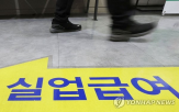 확대,예산,지원,취업,노동부,추경