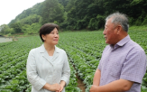 공급,여름,배추,생산,물량,농식품부