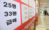 규제,대책,거래,서울,감소,거래량,발표,지역,도봉,대출