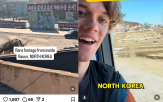 북한,여행,관광,여행사,중단,관광객