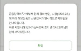 대출,대면,은행,중단,정부,신청,접수,은행권,규제
