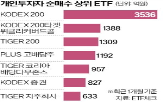 개인,국내,증시,개인투자자,미국