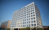 국가,불법,무관세,수출