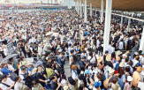 엑스포,개막,협회,관람객,하루,평균,중국