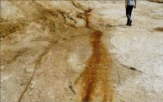 부지,국방부,정화,나리벡,오염,캠프시어즈