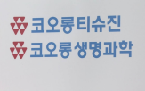 코오롱티슈진,임상,허가