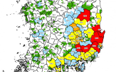 지역,조사,그루,소나무재선충병,증가,산림청