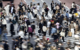 외국인,일본,참정,세금,공약,자민당