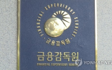 책무구조,금감원