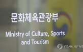 국내,대리인,의무,문체부,지정,이용자