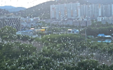 아파트,백로,나주시,민원,악취,해당