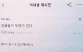 감귤,복귀,의대생,전공의,의사,이용자,커뮤니티