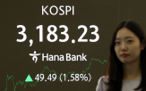 코스피,증시,국내,이날,지수