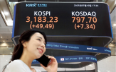 국내