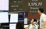 코스피,미국,증시,시장,주목,영향,트럼프