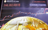 비용,기업,달러,법안,결제,거래,삼성전자,활용,발행,절감