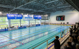 수영,대회,아레나코리아,다양,이번,후원