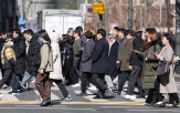 고용,고령자,전문가,노동시장,고용정책