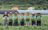 재배,수박,공동영농,이모작,소득,농가,특화,방식,수직,기존