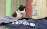 건물,매각,카라,자산,재산,정관,기본,총회,농식품부,부처