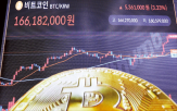 비용,기업,달러,법안,결제,거래,삼성전자,활용,발행,절감