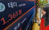 원화,발행,달러,코인,비은행,관계자,우려,국정기획위